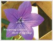 Whispering Leaves Herb & Sip Shop Cafe