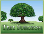Orange Park Tree Surgeons - COMPLETE TREE SERVICE