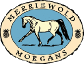 Merriewold Morgans LLC