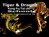 Tiger & Dragon Kung Fu School