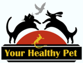 Your Healthy Pet LLC