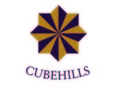 CUBEHILLS Corporation