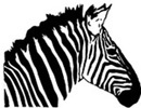 Zebra Striping Inc