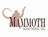 Mammoth Solutions LLC