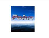 The Polus Group, LLC
