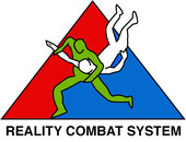 Reality Combat System