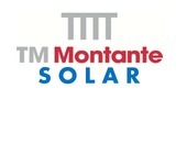 Tm Montante Solar Developments LLC