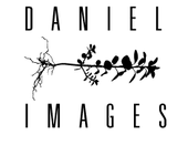 Daniel Images