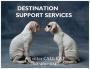 Pett Sitter Destintation Support Services