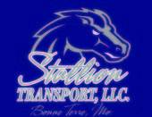 Stallion Transport L L C