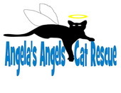 Angela's Angels Cat Rescue, Inc.