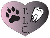Animal Dentistry and Oral Surgery Specialists, LLC